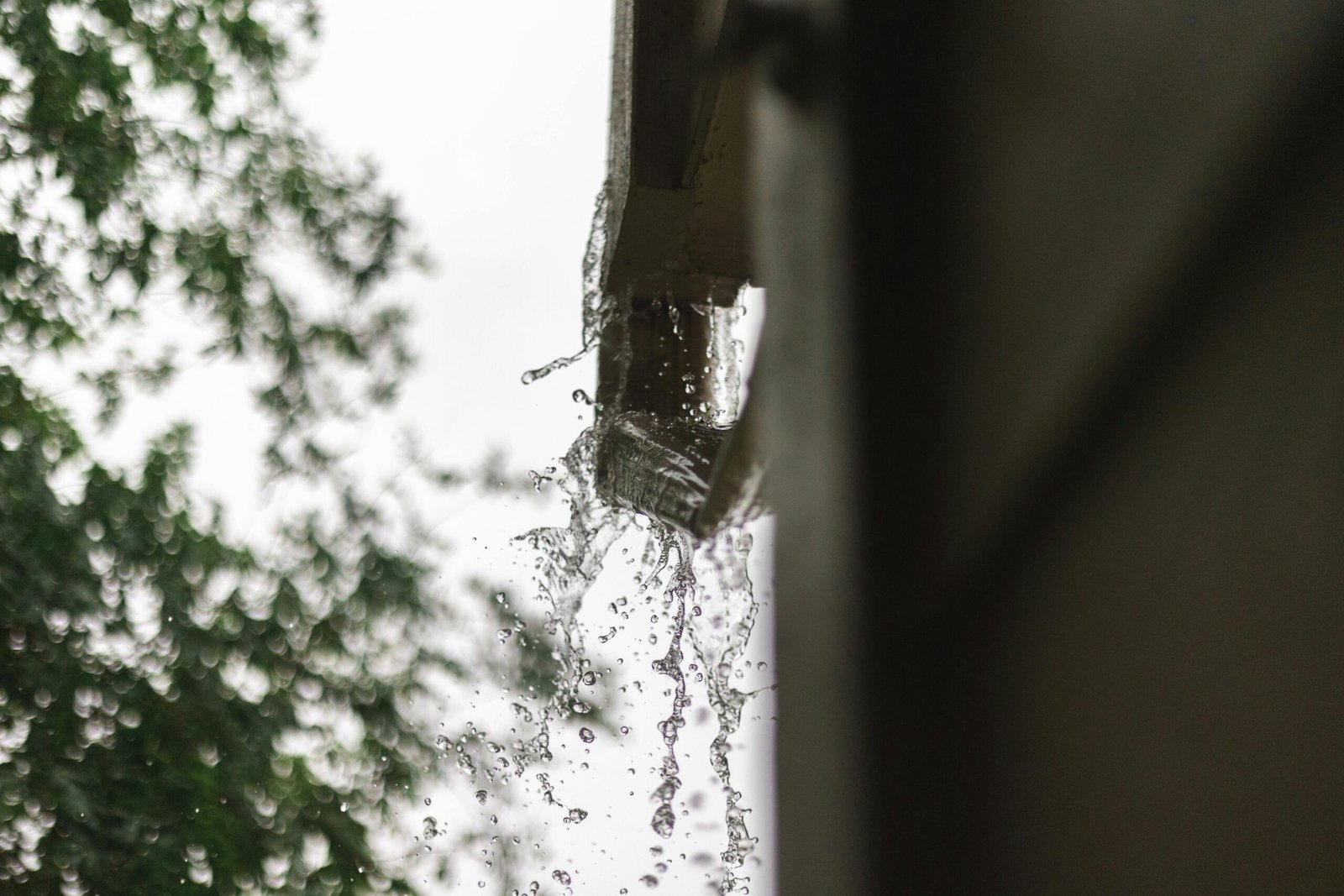 Fast Gutter Cleanings